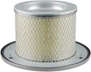 Baldwin Air Filter (PA3919)