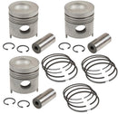 PISTON & RING KIT, STANDARD