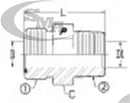 1/4 MALE OFS X 1/4 MALE PIPE - MALE PIPE CONNECTOR - STEEL