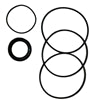 HYDRAULIC MOTOR SEAL KIT