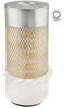 Baldwin Air Filter (PA3791FN)