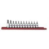Timken 480581 Oil & Grease Seal