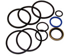 SEAL REPAIR KIT FOR CYLINDERS WITH 3" BORE AND 1-1/4" ROD