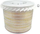Baldwin Air Filter (PA2389FN)