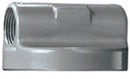 TOP CAP FOR GOLDENROD 1" FILTERS