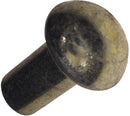 1/4"X5/8" YZP RIVET FOR DISC