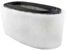 Baldwin Air Filter (PA2233)