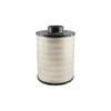 Baldwin Air Filter (PA3868)