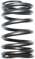 TISCO Valve Spring for International, 160908R1
