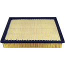 Baldwin Air Filter (PA4390)