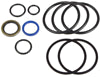 CYLINDER SEAL KIT 3'' BORE - 1-1/8'' ROD