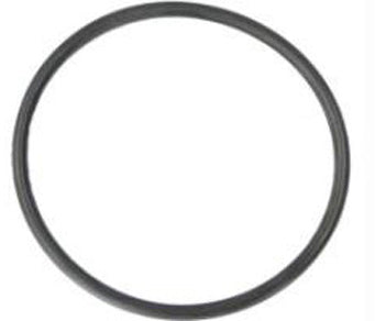ACE PUMP BODY O-RING