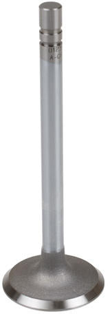 INTAKE VALVE